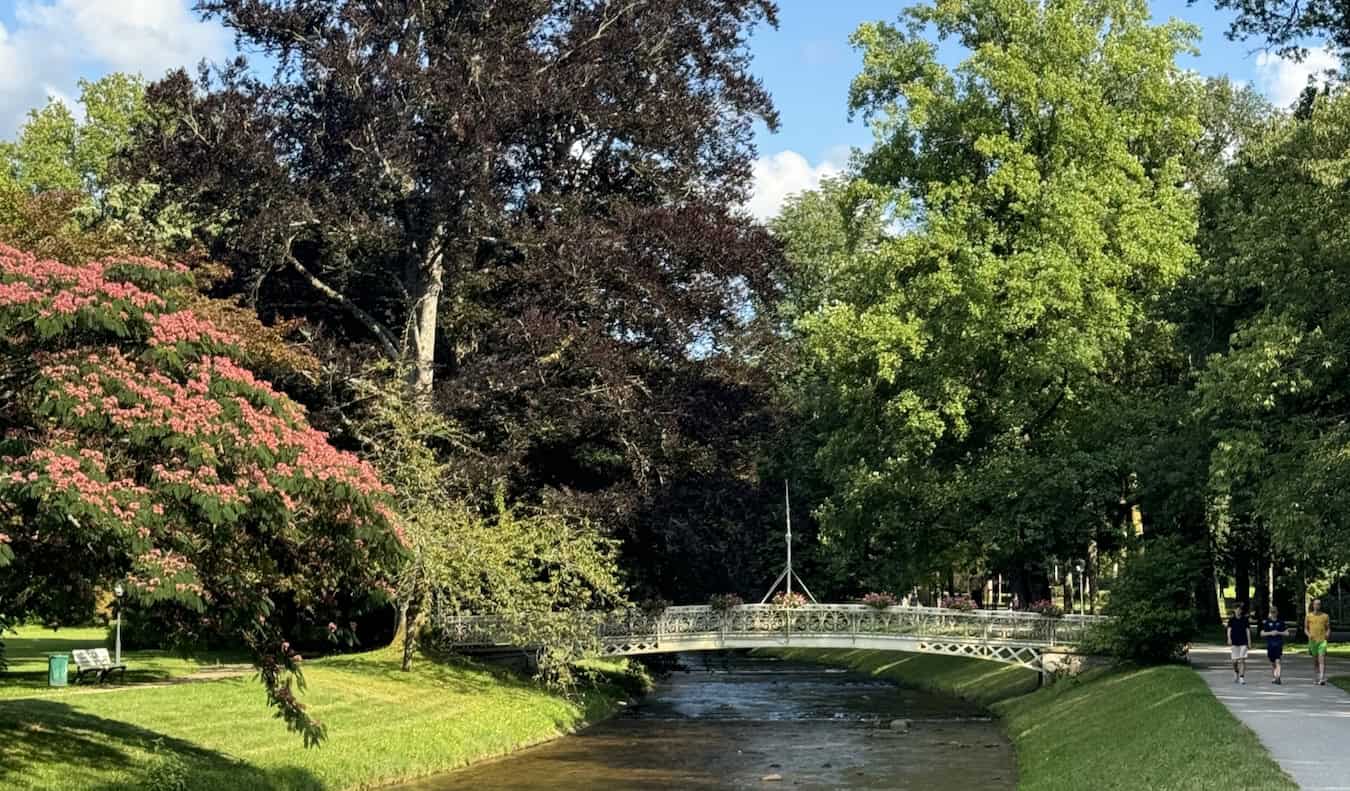 Një pamje e qetë dhe skenike pranë lumit në Baden-Baden në zonën e Pyllit të Zi në Gjermani