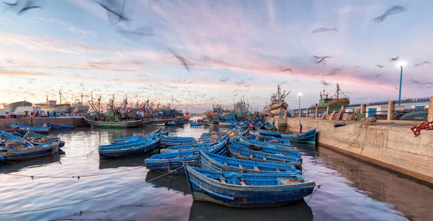 Anije peshkimi në Essaouira, Maroko